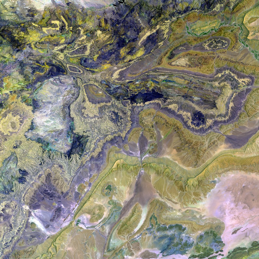 GameVerse platform features